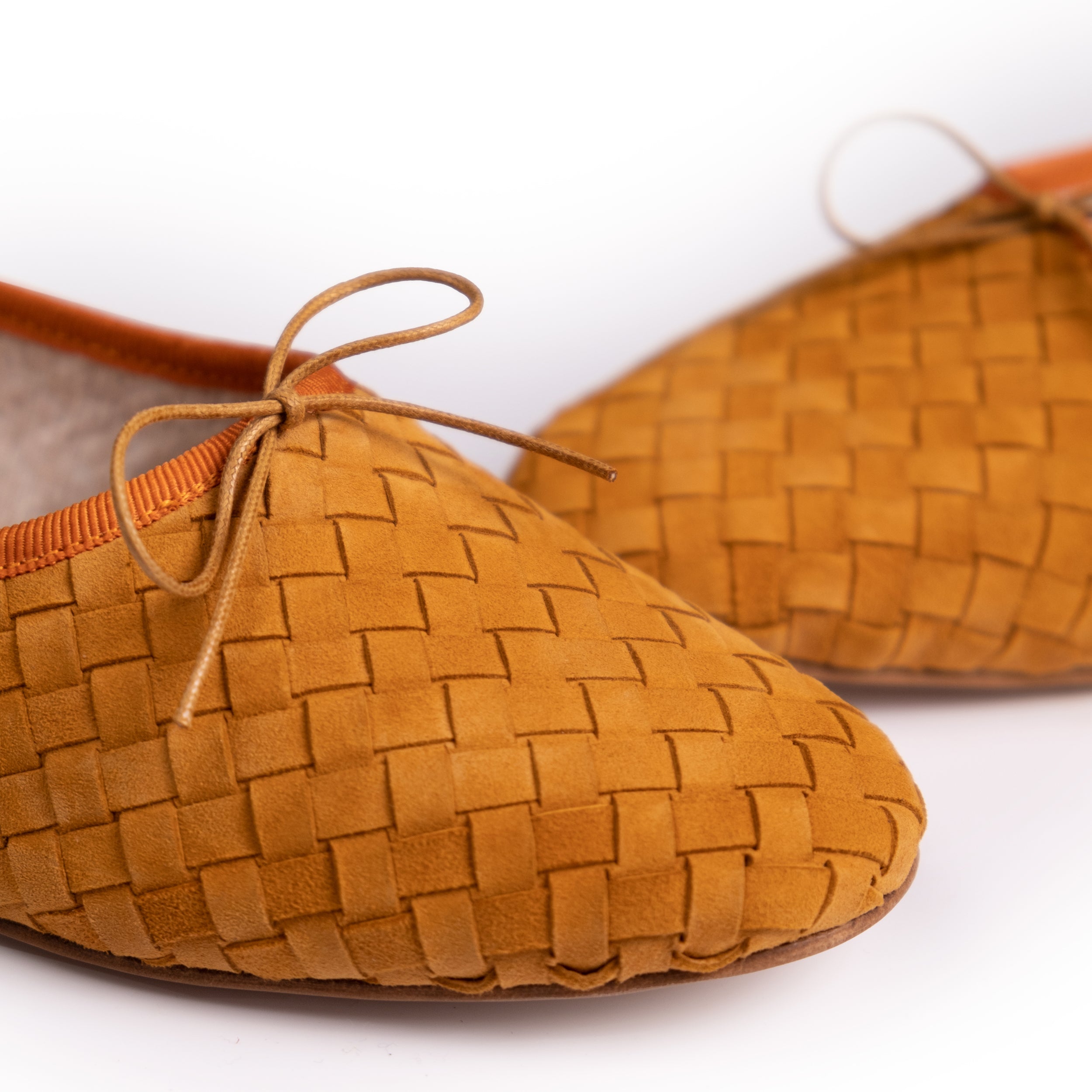 The Woven Rotonda Ballerina